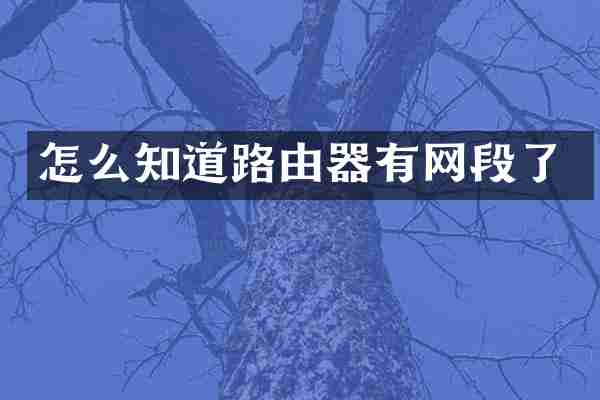 怎么知道路由器有网段了