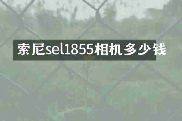 索尼sel1855相机多少钱