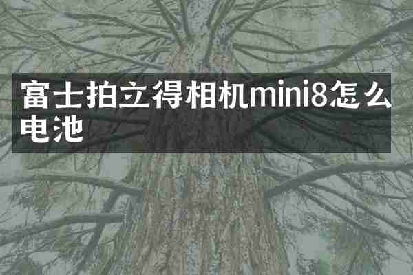 富士拍立得相机mini8怎么换电池
