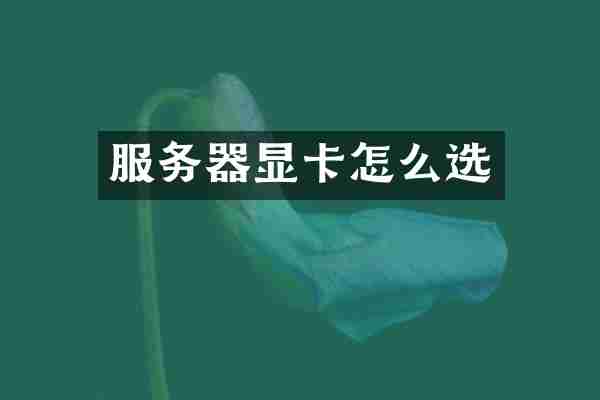 服务器显卡怎么选