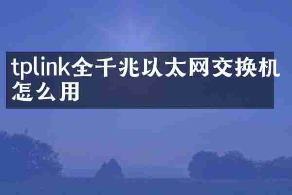 tplink全千兆以太网交换机怎么用