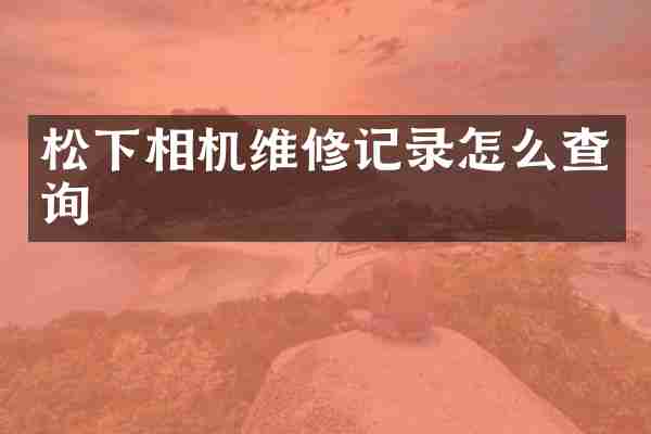 松下相机维修记录怎么查询