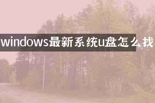 windows最新系统u盘怎么找