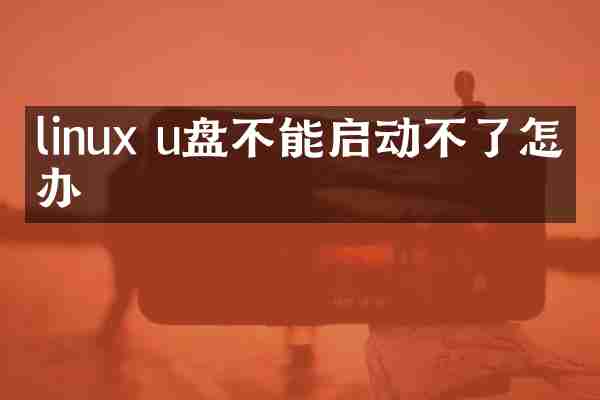 linux u盘不能启动不了怎么办