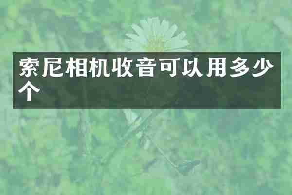 索尼相机收音可以用多少个