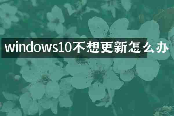 windows10不想更新怎么办