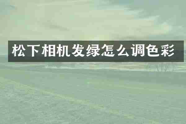 相机发绿怎么调色彩