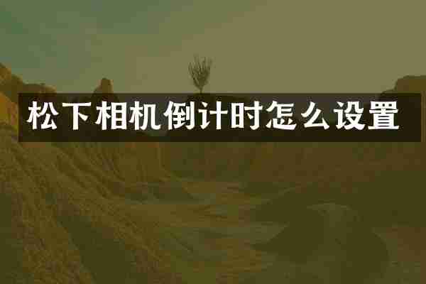 松下相机倒计时怎么设置