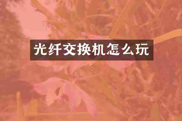 光纤交换机怎么玩