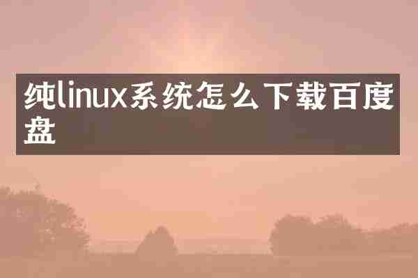 纯linux系统怎么下载百度云盘