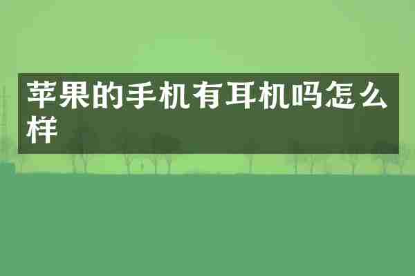 苹果的手机有耳机吗怎么样