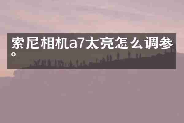 索尼相机a7太亮怎么调参数