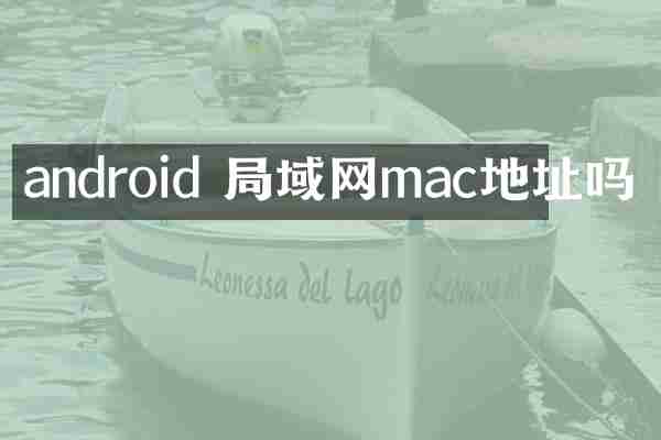 android 局域网mac地址吗