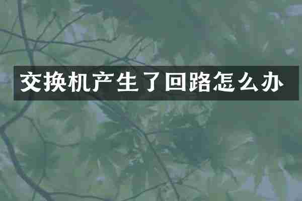 交换机产生了回路怎么办
