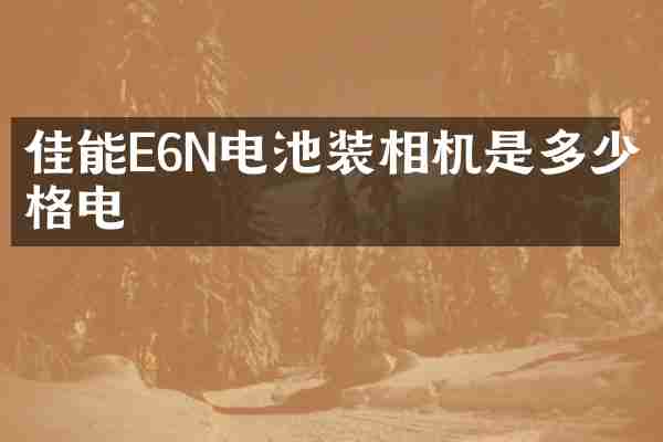 佳能E6N电池装相机是多少格电