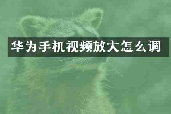 华为手机视频放大怎么调