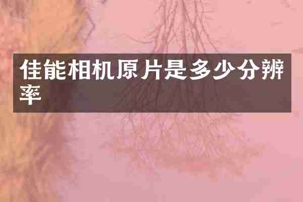 佳能相机原片是多少分辨率