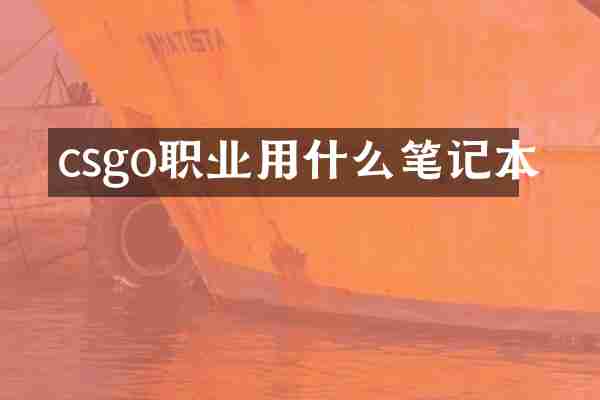 csgo职业用什么笔记本