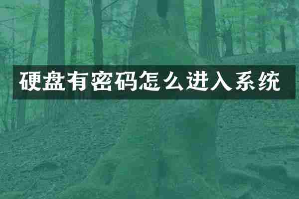 硬盘有密码怎么进入系统