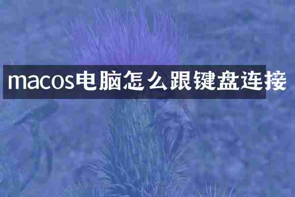 macos电脑怎么跟键盘连接