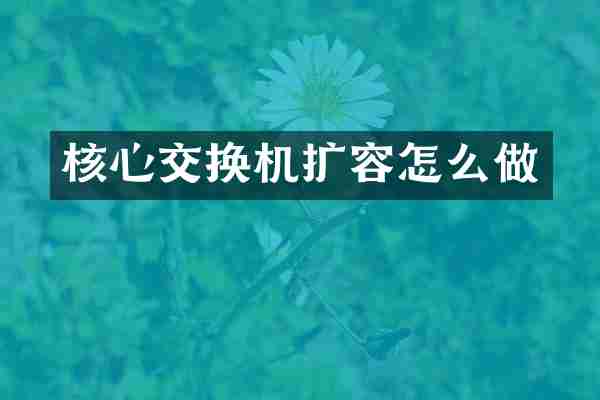 核心交换机扩容怎么做