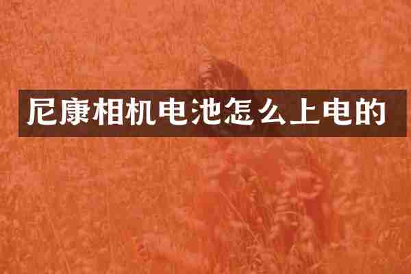 尼康相机电池怎么上电的