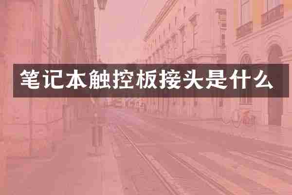 笔记本触控板接头是什么