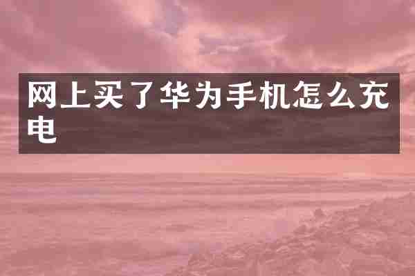 网上买了华为手机怎么充电