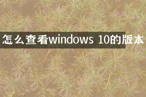 怎么查看windows 10的版本