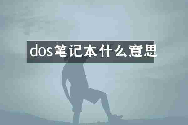dos笔记本什么意思