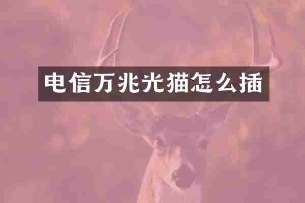 电信万兆光猫怎么插