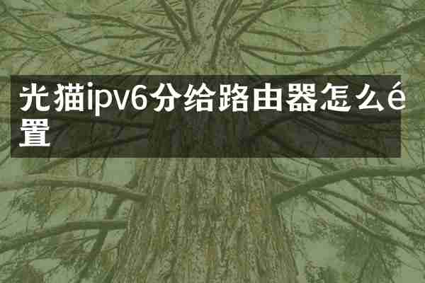 光猫ipv6分给路由器怎么配置