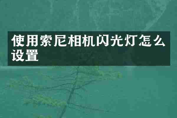使用索尼相机闪光灯怎么设置