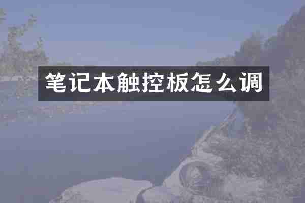 笔记本触控板怎么调