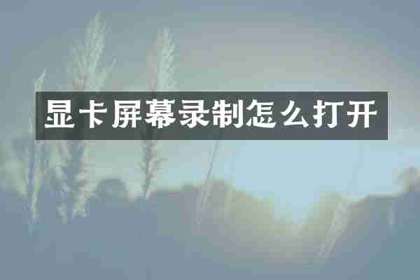 显卡屏幕录制怎么打开