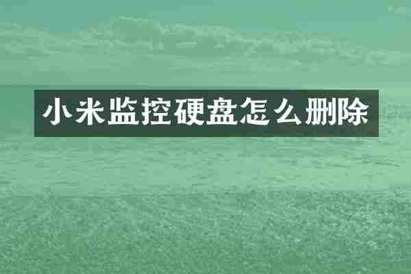 小米监控硬盘怎么删除