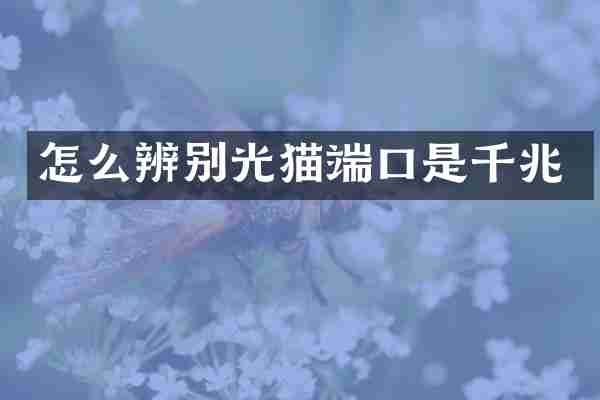 怎么辨别光猫端口是千兆