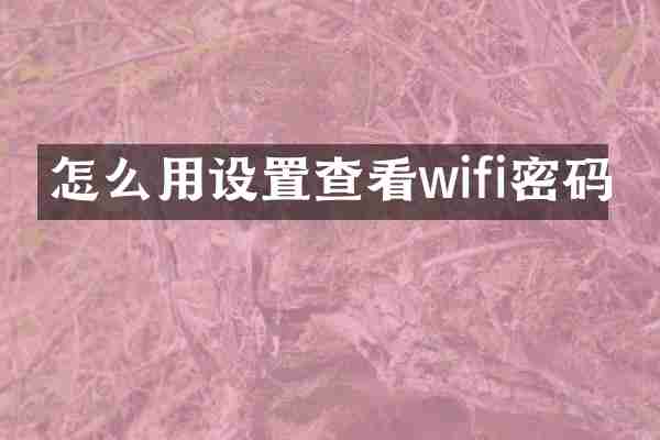 怎么用设置查看wifi密码