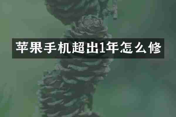 苹果手机超出1年怎么修
