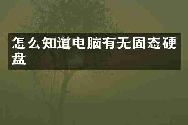 怎么知道电脑有无固态硬盘
