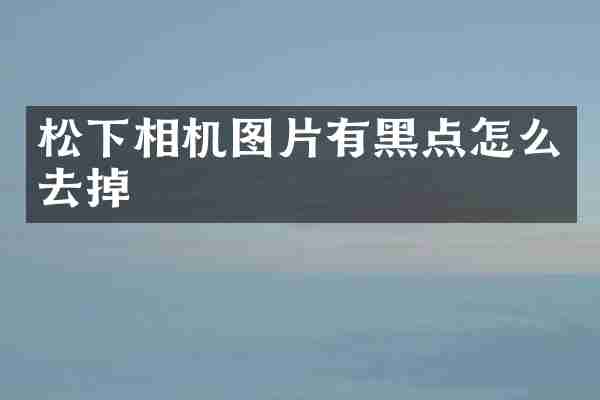 松下相机图片有黑点怎么去掉