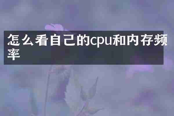 怎么看自己的cpu和内存频率