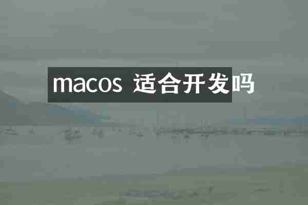 macos 适合开发吗