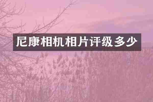 尼康相机相片评级多少