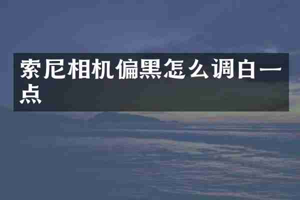 索尼相机偏黑怎么调白一点