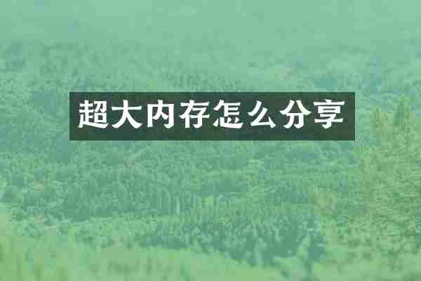 超大内存怎么分享