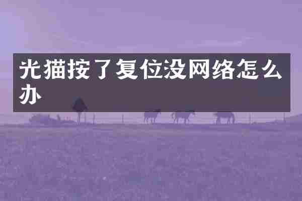 光猫按了复位没网络怎么办
