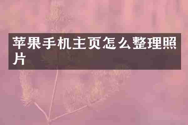 苹果手机主页怎么整理照片