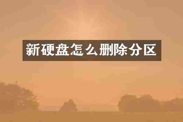 新硬盘怎么删除分区