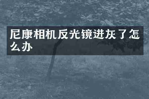 尼康相机反光镜进灰了怎么办